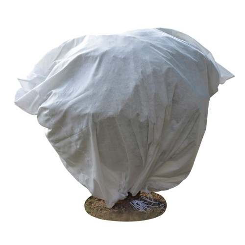 2400 x 2000mm Plant Cover