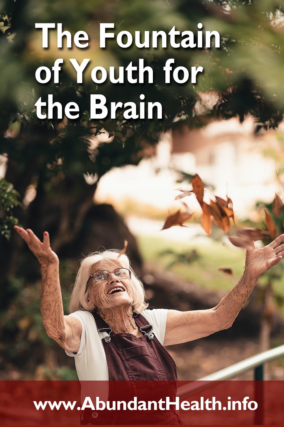 The Fountain of Youth for the Brain