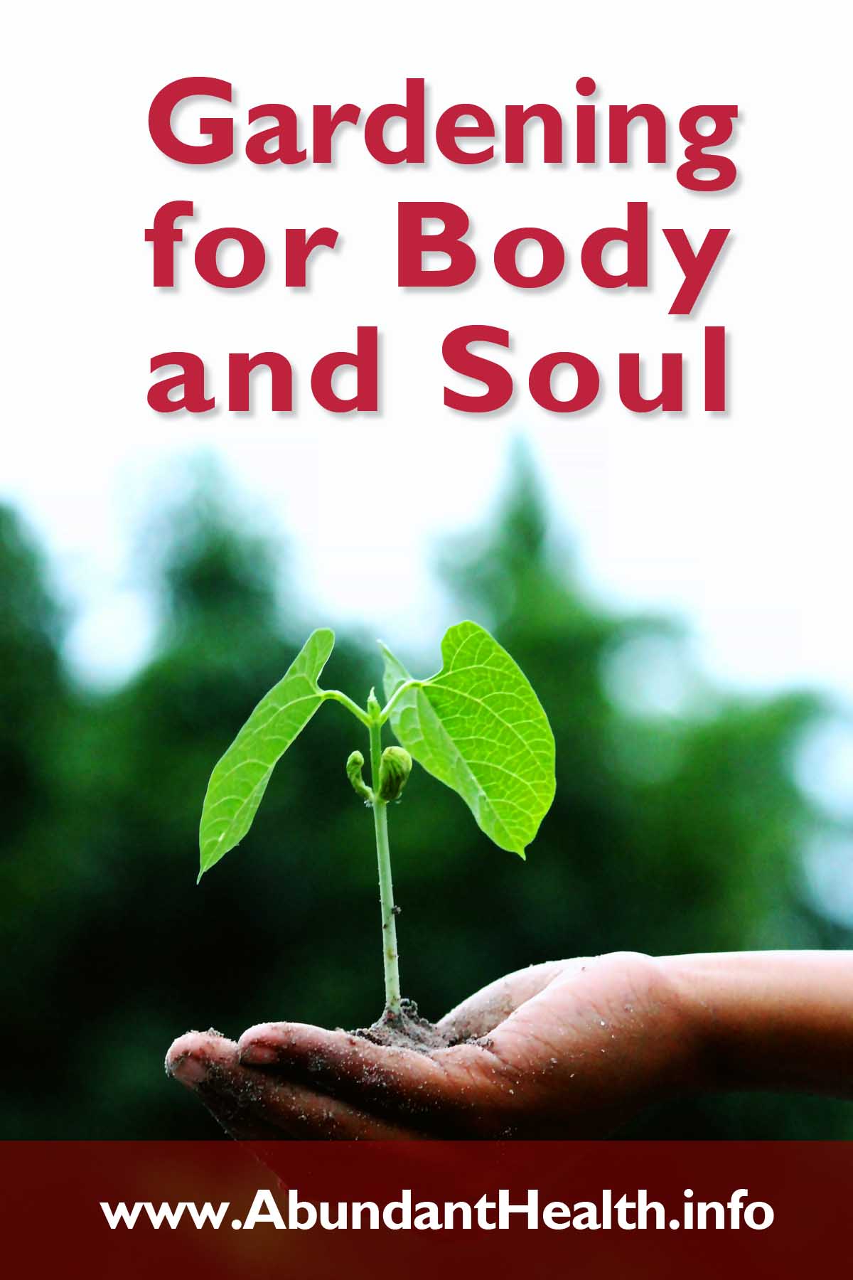 Gardening for Body and Soul