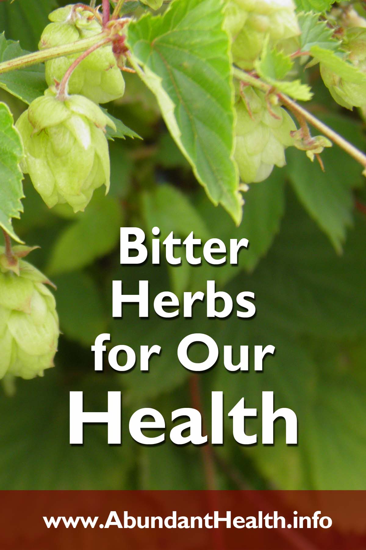 Bitter Herbs for Our Health